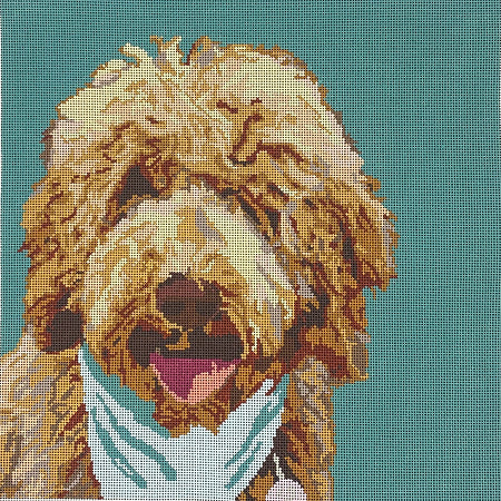 Doodle Dog Canvas - KC Needlepoint