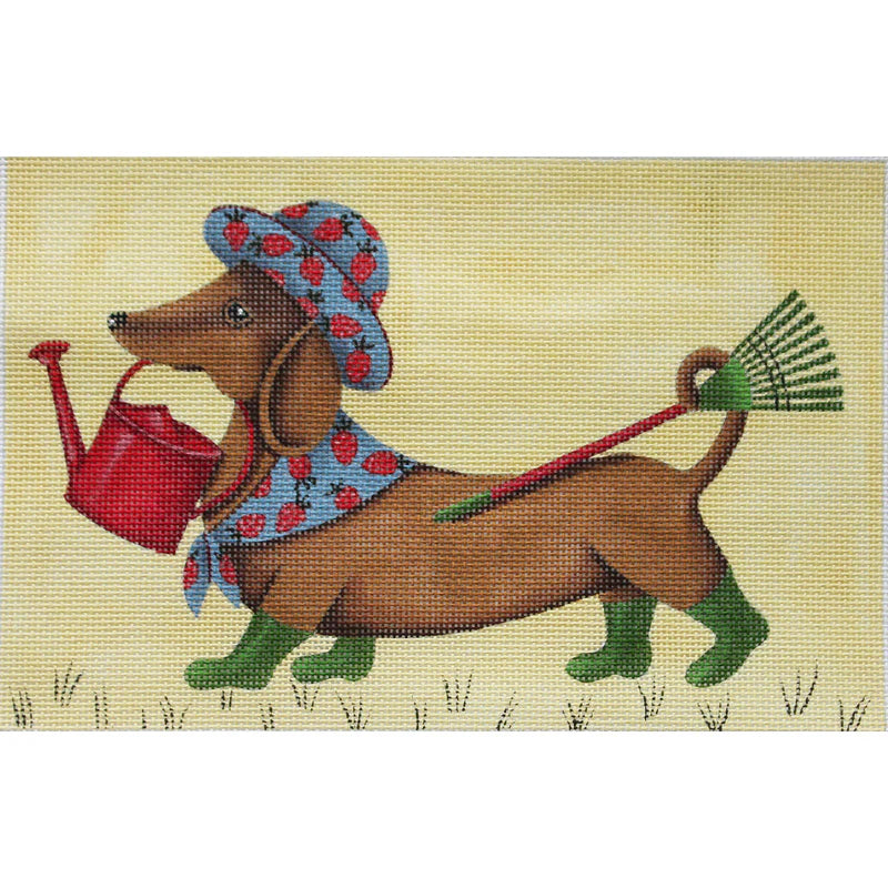 Spring Dachshund Canvas