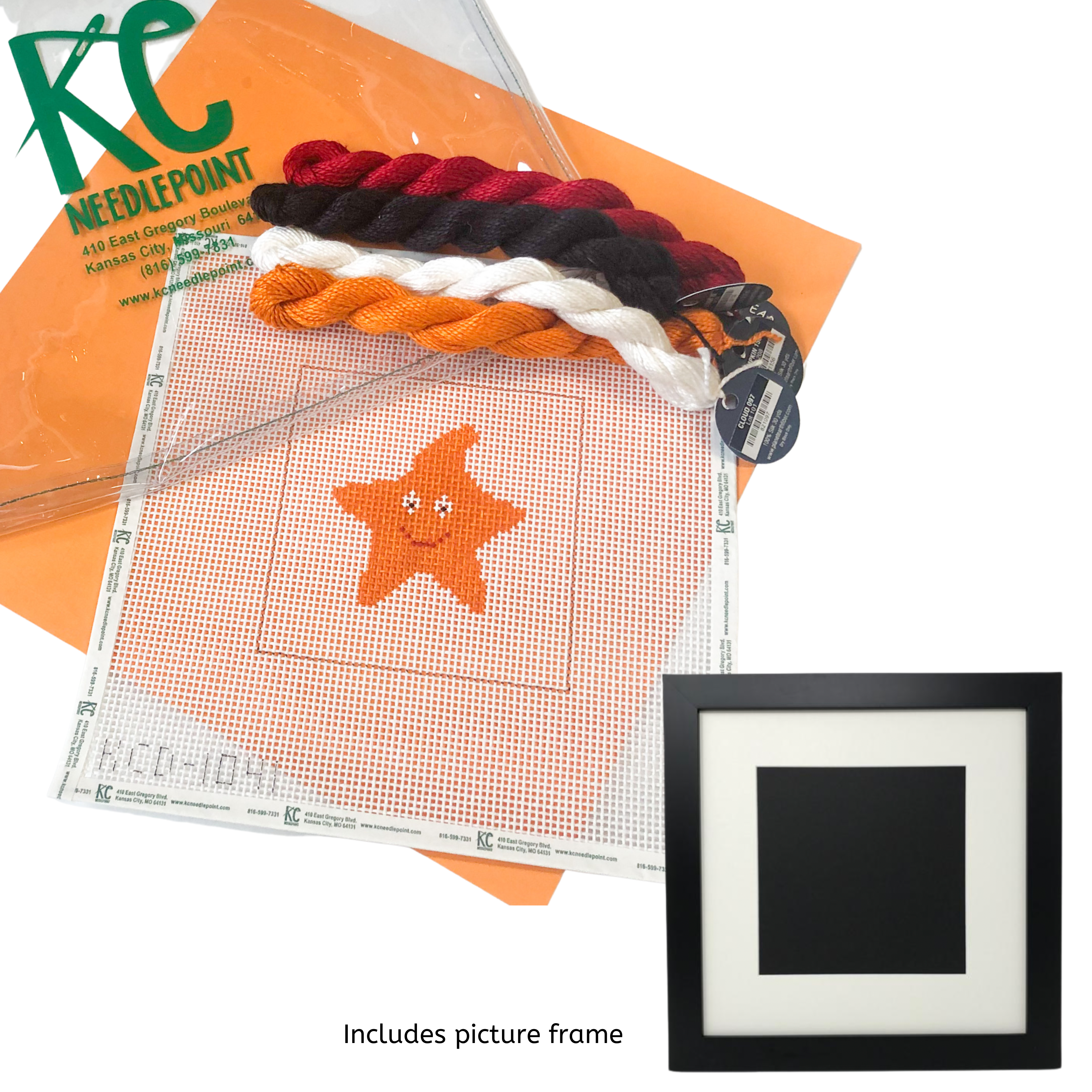 Starfish Needlepoint Kit