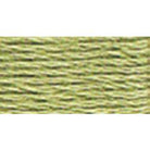 DMC 5 Pearl Cotton 3053</br>Green Gray - KC Needlepoint