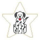 Dalmatian Star Canvas - KC Needlepoint