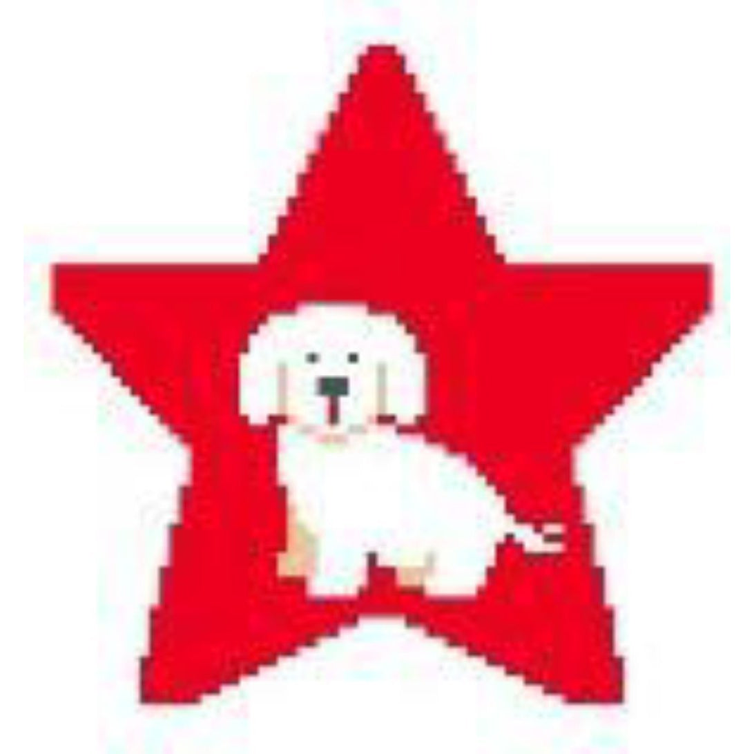 Bichon Frise Star Canvas - KC Needlepoint